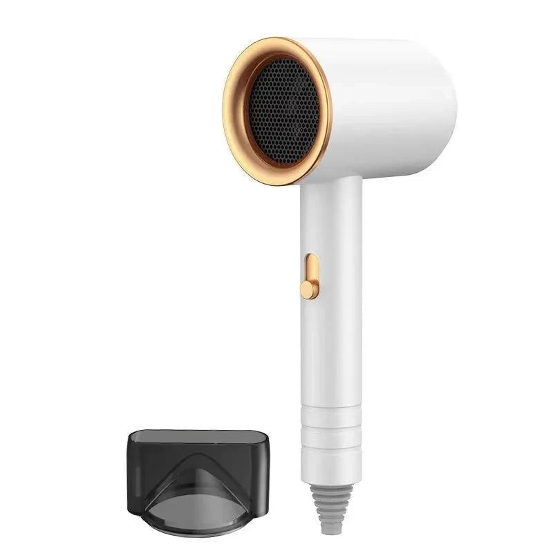 Sèche-Cheveux Professionnel Ionique